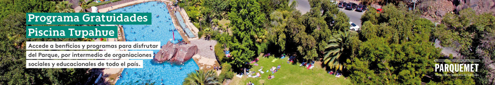 Programa Gratuidades Piscina Tupahue