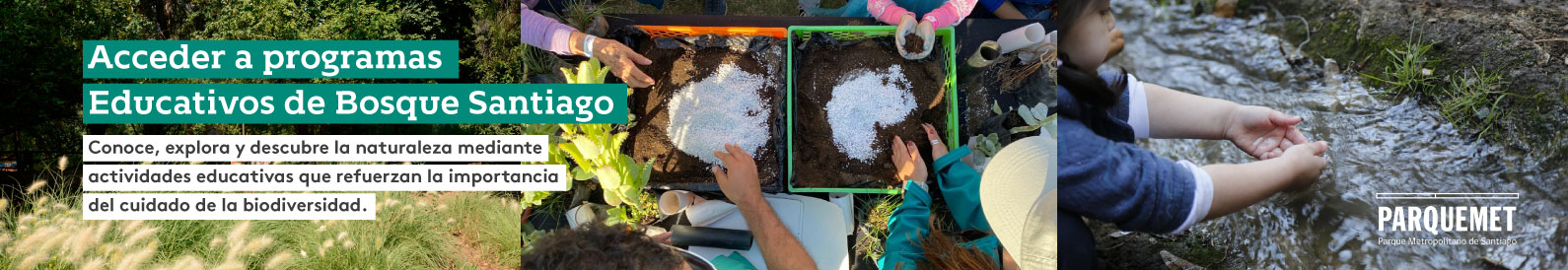 Acceder a programas Educativos de Bosque Santiago